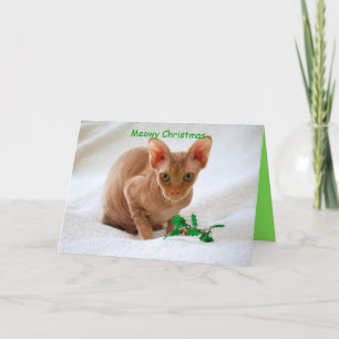 Meowy Christmas Sphinx Cat Holiday Card