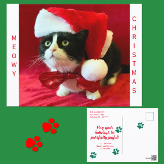 Meowy Christmas Tuxedo Cat Holiday Postcard