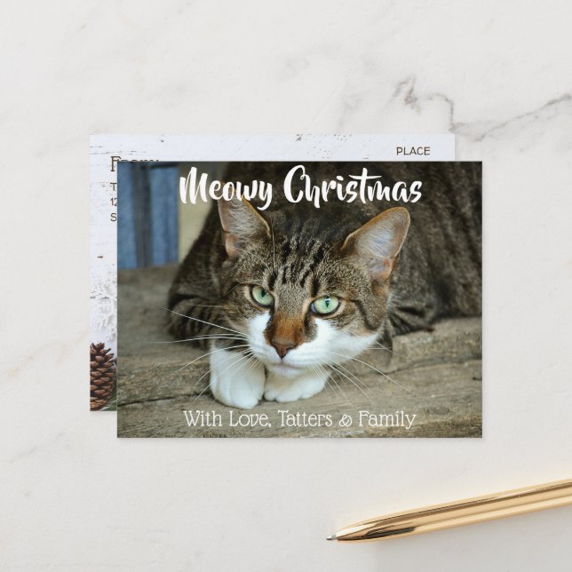 Meowy Christmas Your Cat's Holiday Greetings Postcard Zazzle