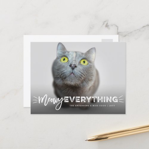 Meowy Everything Whiskers Cat Lover Cute Photo Pet Holiday Postcard
