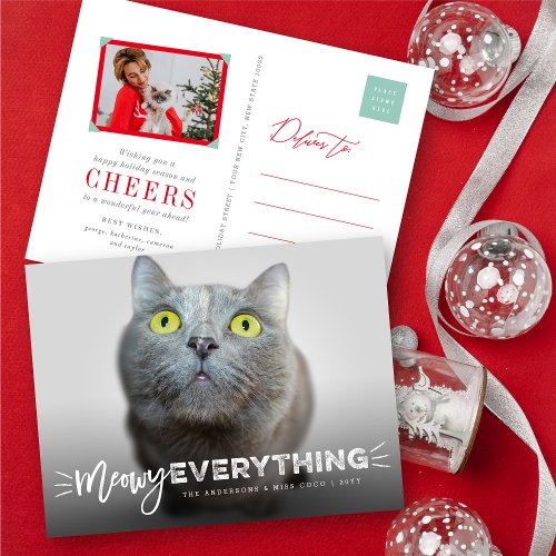 Meowy Everything Whiskers Cat Lover Cute Photo Pet Holiday Postcard