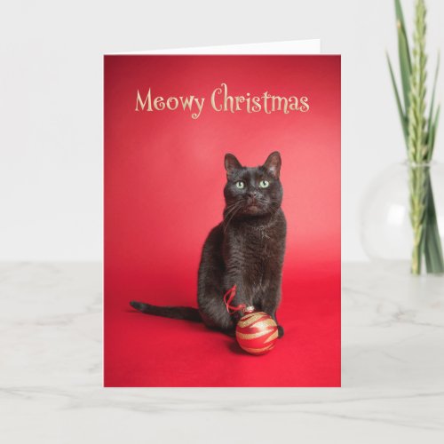 Meowy Merry Christmas Cat With Ornament Humor Holiday Card