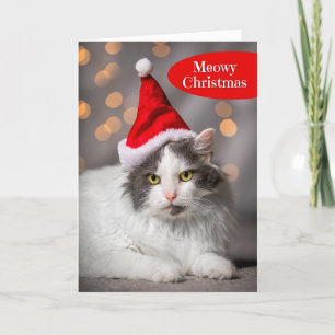Meowy Merry Christmas For Anyone Cute Cat in Santa Holiday Card