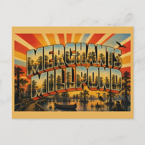 Merchants Millpond North Carolina Cypress Swamp Postcard