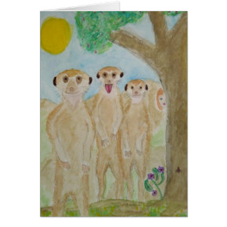 mere kats cards
