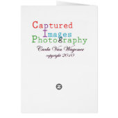 Mere Words Can Not Express Cards (Back)