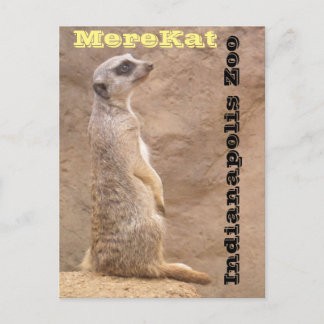 Merekat Indianapolis Zoo Postcard