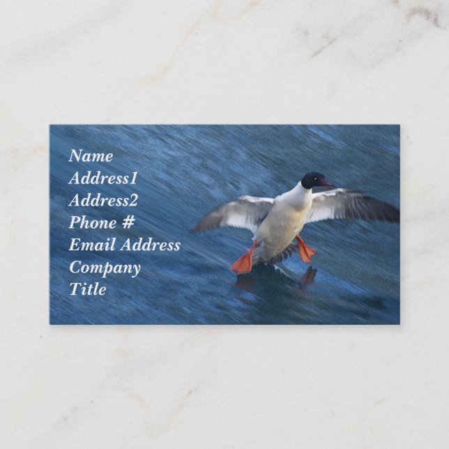 Merganser Duck Business Card (Front)