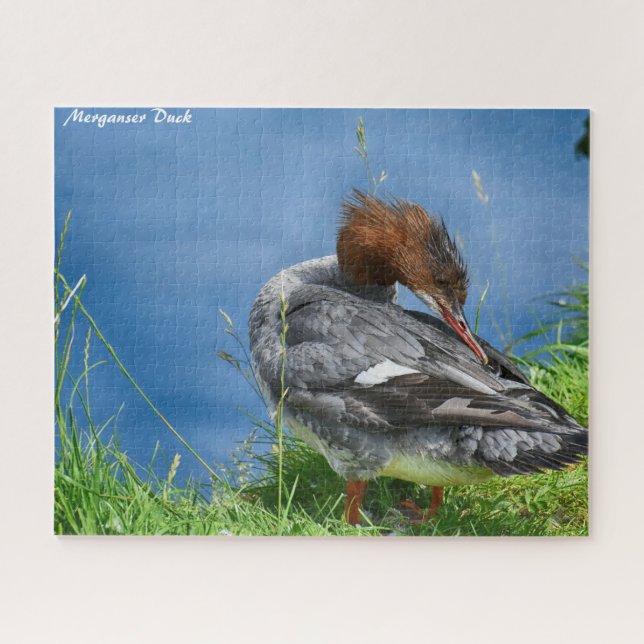 Merganser Duck Jigsaw Puzzle (Horizontal)