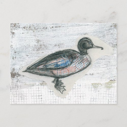 Merganser Duck Postcard