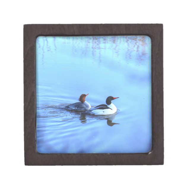 Merganser Ducks Gift Box (Front)