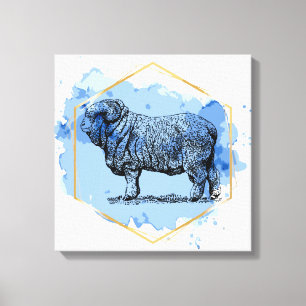Merino Ram Canvas Print