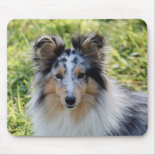 Merland Sheepdog - Sheltie Dog Mouse Pad