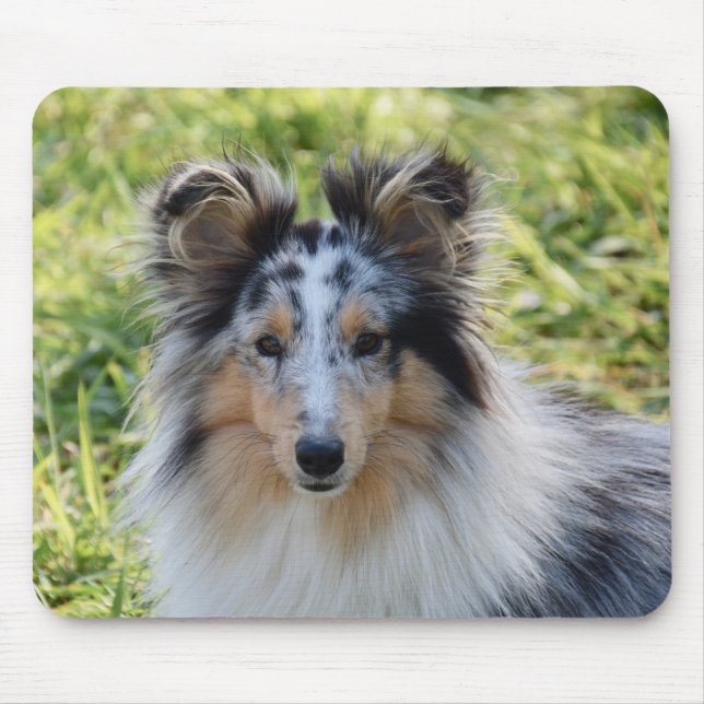 Merland Sheepdog - Sheltie Dog Mouse Pad (Front)