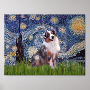 Merle  Aussie Shep  - Starry Night Poster