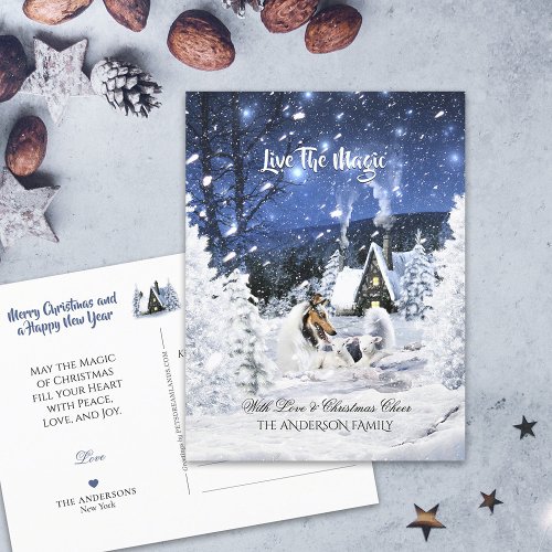 Merle Collie  Lambs in Winter Night _ Christmas   Postcard