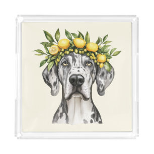 Merle Great Dane Dog Lemon Crown Acrylic Tray