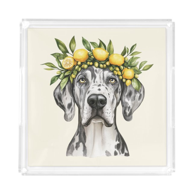 Merle Great Dane Dog Lemon Crown Acrylic Tray (Front)