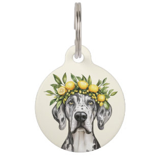 Merle Great Dane Dog Lemon Crown Pet ID Tag