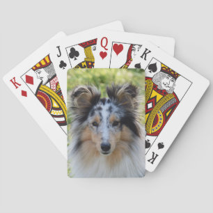 Merle Shetland Sheepdog - Sheltie Dog Poker Cards