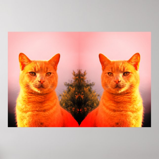 Merlin and angel twin cats poster (Front)