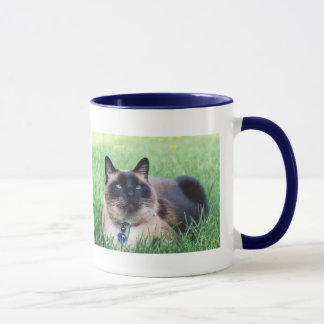 Merlin Blue Memorial Mug