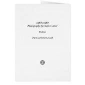 Merlin Falcon (Back)