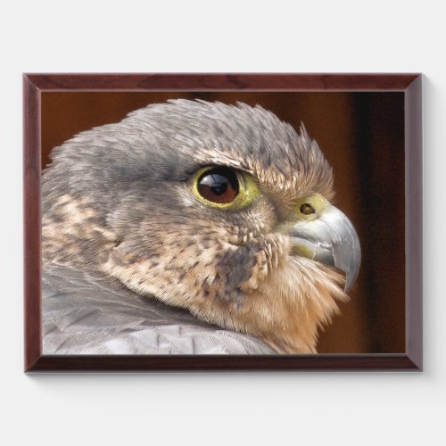 MERLIN FALCON BIRD OF PREY AWARD PLAQUE