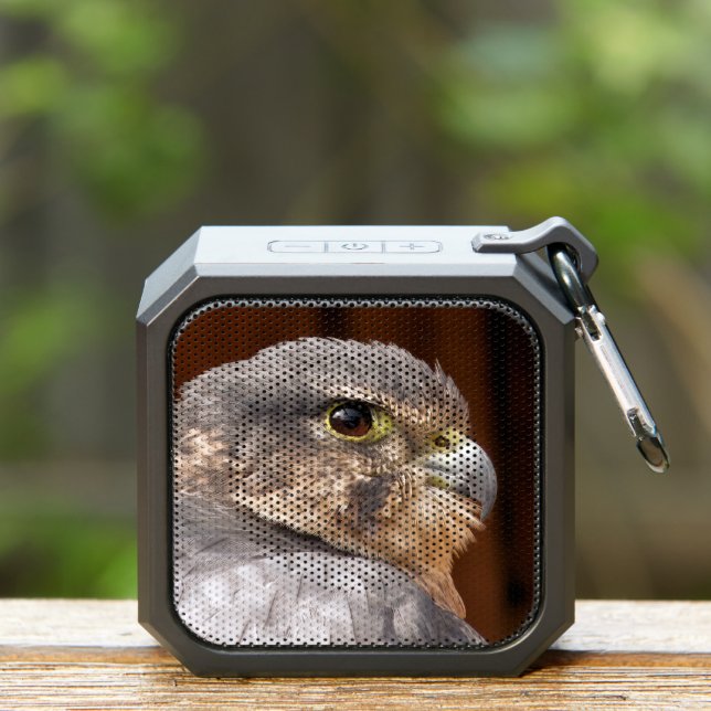 MERLIN FALCON BIRD OF PREY BLUETOOTH SPEAKER (Insitu(Outdoor))