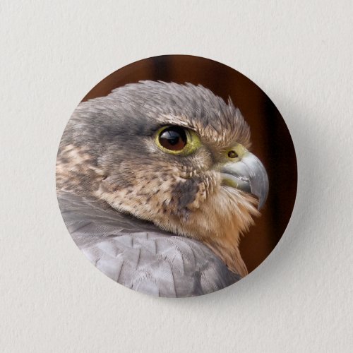 MERLIN FALCON BIRD OF PREY BUTTON