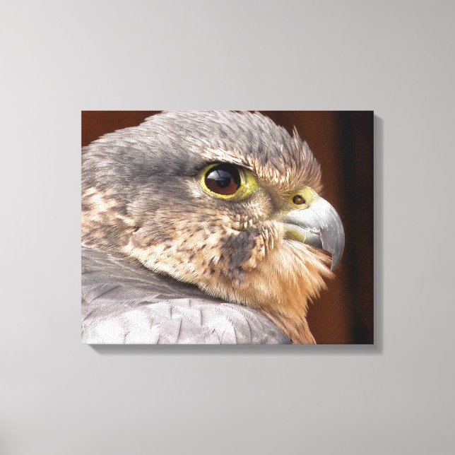 MERLIN FALCON BIRD OF PREY CANVAS PRINT (Front)