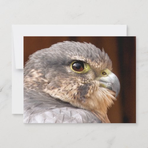 MERLIN FALCON BIRD OF PREY CARD