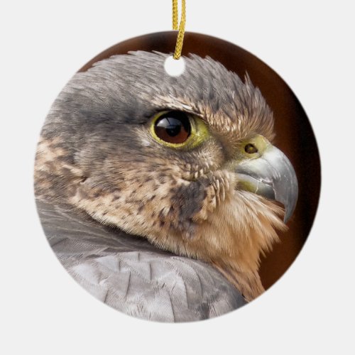 MERLIN FALCON BIRD OF PREY CERAMIC ORNAMENT