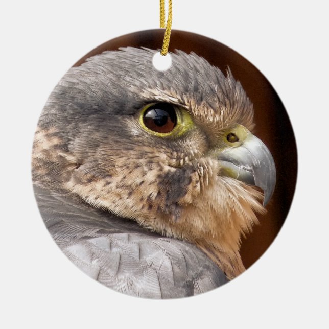 MERLIN FALCON BIRD OF PREY CERAMIC ORNAMENT (Front)