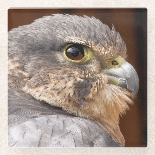 MERLIN FALCON BIRD OF PREY GLASS COASTER (Front)