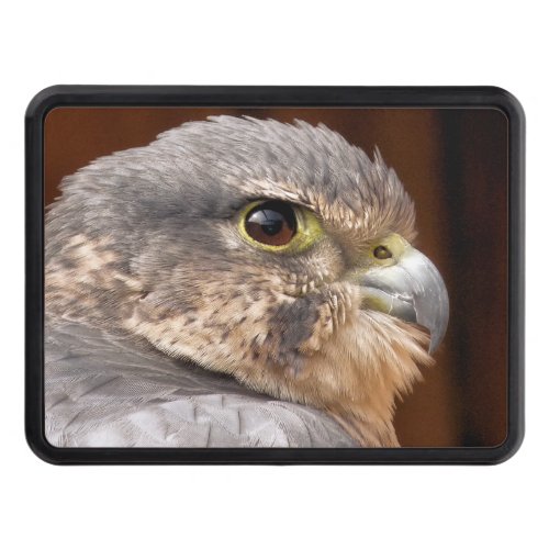 MERLIN FALCON BIRD OF PREY HITCH COVER