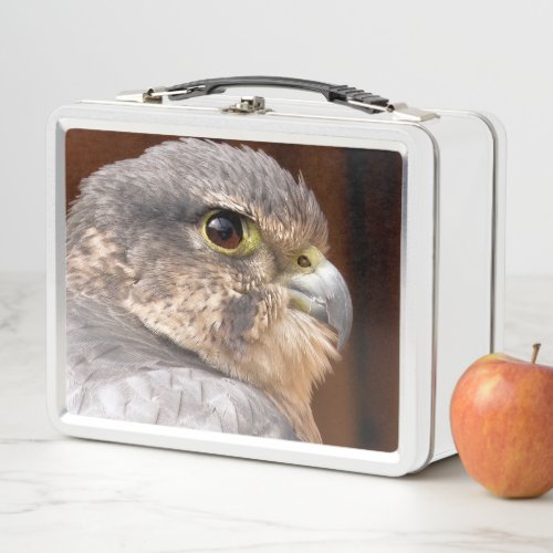 MERLIN FALCON BIRD OF PREY METAL LUNCH BOX