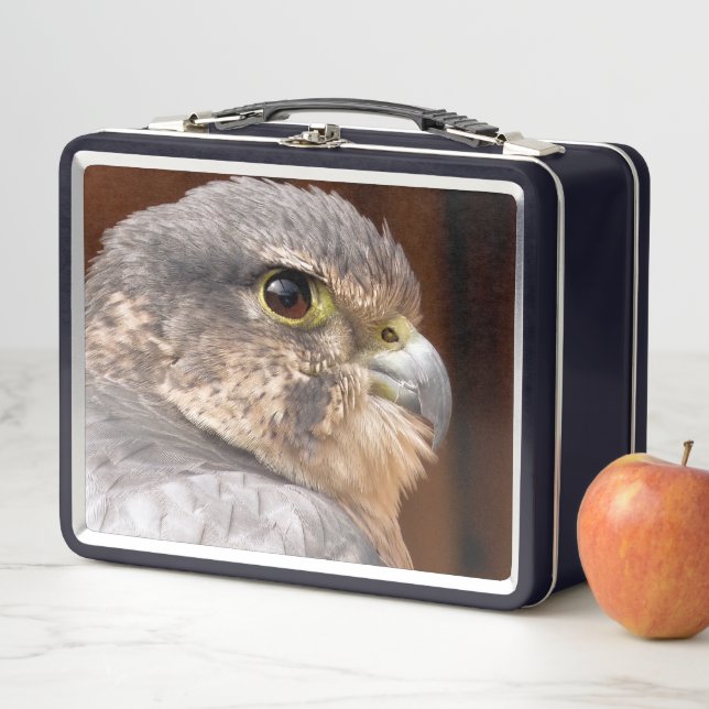 MERLIN FALCON BIRD OF PREY METAL LUNCH BOX (In Situ)