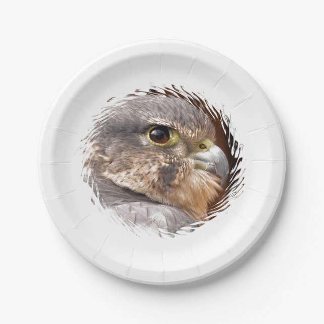 MERLIN FALCON BIRD OF PREY PAPER PLATES (Front)