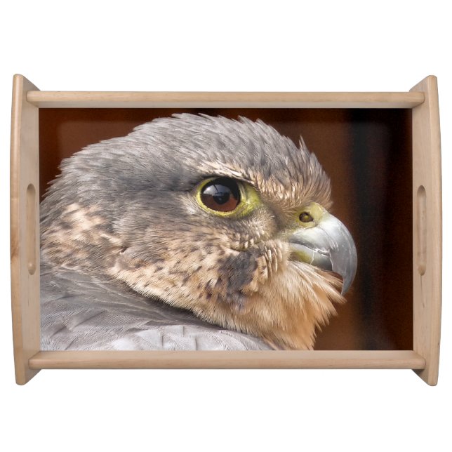 MERLIN FALCON BIRD OF PREY SERVING TRAY (Front)