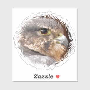 MERLIN FALCON BIRD OF PREY STICKER