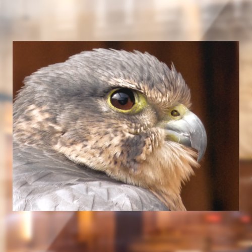 MERLIN FALCON BIRD OF PREY WINDOW CLING