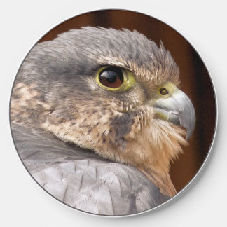MERLIN FALCON BIRD OF PREY WIRELESS CHARGER