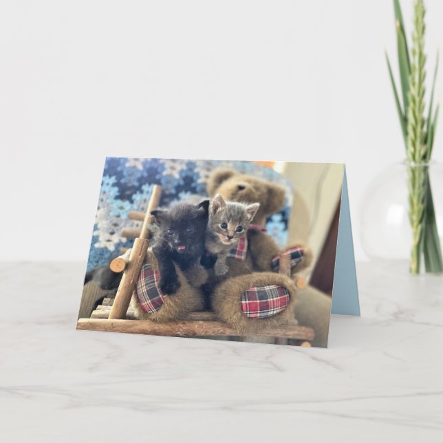 Merlin & Guinevere (1)- Cat / Kitten Greeting Card (Front)