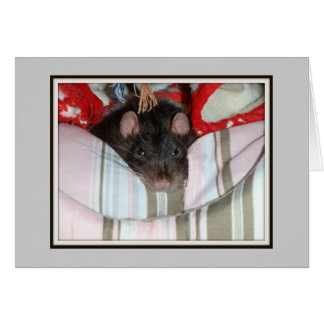 Merlin Lazy
