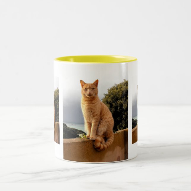 Merlin on the garden wall Two-Tone coffee mug (Center)