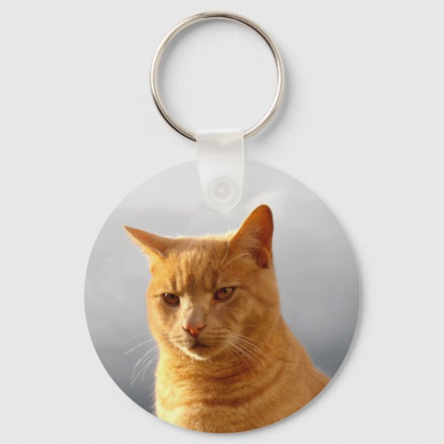 Merlin the ginger cat keychain (Front)