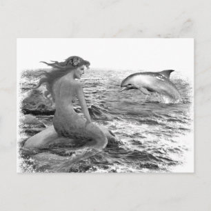 Mermaid and Dolphin Postcard