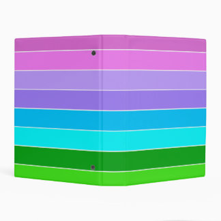 Mermaid Color Stripes Mini Binder