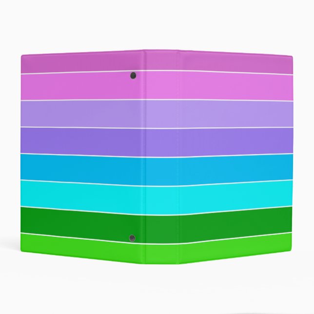 Mermaid Color Stripes Mini Binder (Background)
